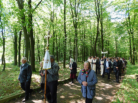 «О, Маріє, мати Божа, молися за нас»